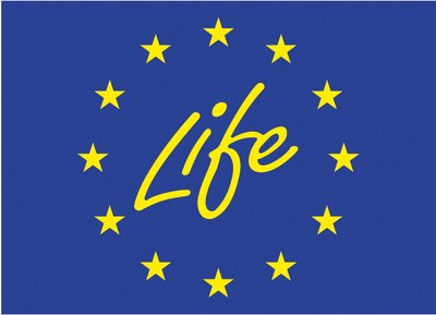 life logo